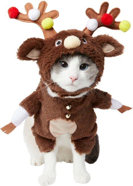 Frisco Front Walking Reindeer Dog And Cat Costume 1 Count X Small