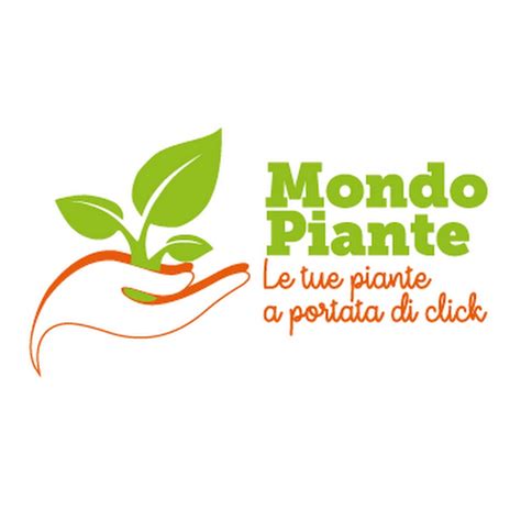 Siamo agricola moderna, una fattoria verticale di milano. Mondo Piante - YouTube