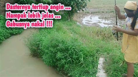 Cewek Cantik Mancing Ikan Gabus Meta Indah Mancing Ambyar Terbaru