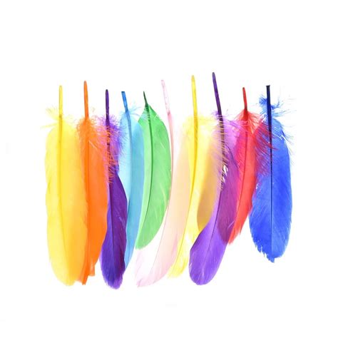 20 Pcs Colorful Feathers 18cm Diy Feathers Home Celebrity Decoration
