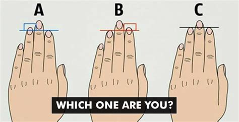 What The Length Of Your Fingers Reveals About You