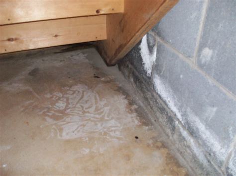 How To Tell If Basement Is Leaking Openbasement