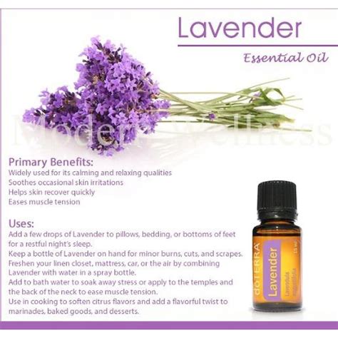 Doterra Cptg Lavender Essential Oil 15ml Healthy Body Head To Toe