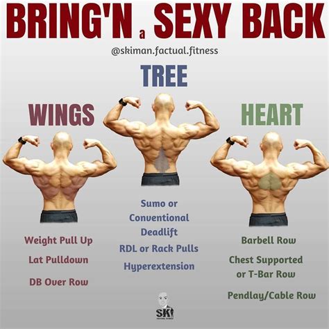 Lower back muscle chart : What Are The Most Beneficial Back Exercises? Here's 8 ...