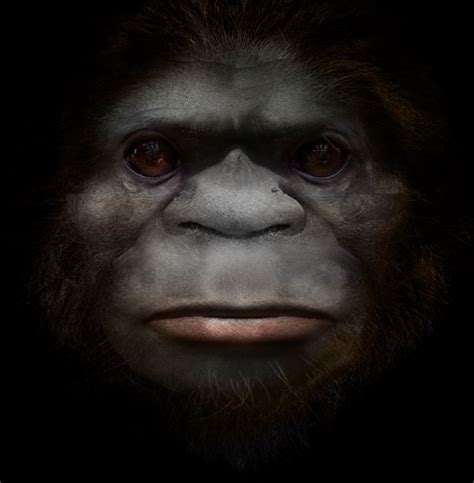 Bigfoot: A novel species of primate. Possibly an extant hominin. | Bigfoot art, Bigfoot, Bigfoot ...