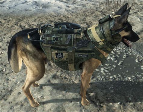 Image Guard Dog Deployed Codgpng Call Of Duty Wiki Fandom