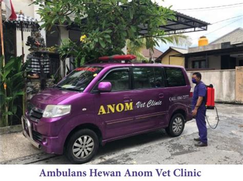 Layanan Inovatif Anom Vet Clinic Maksimalkan Pelayanan Kesehatan Hewan