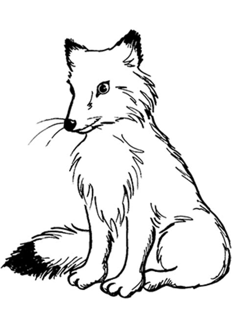 Wolf malvorlage kostenlos wölfe ausmalbilder. Ausmalbilder Fuchs 2 - Füchse Malvorlagen