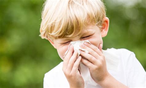What Is Allergic Rhinitis What Can Be Done To Treat These Allergies