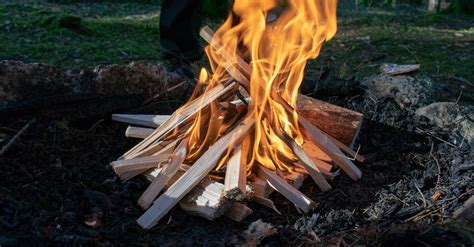 Photo Of Burning Woods On Firepit · Free Stock Photo