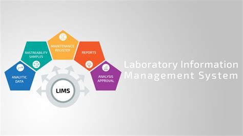 Ppt Ih Laboratory Information Management Systems Lims Improving Riset