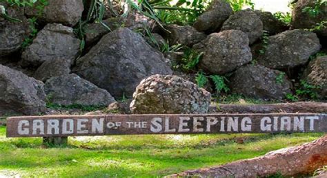 Garden Of Sleeping Giant Tour Seabeds Fiji