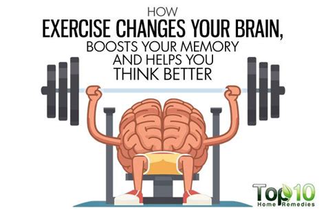 How Exercise Changes Your Brain Boosts Your Memory And Helps You Think