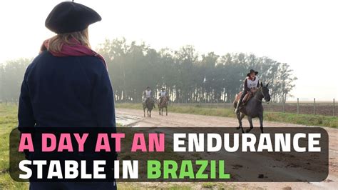 A Day At An Endurance Stable In Brazil Horse Vlog 2020 Horse Riding