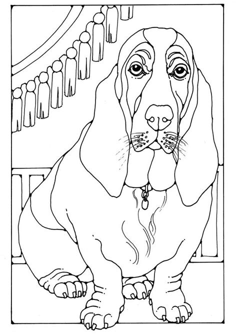 Download Kleurplaat basset - Afb 28214.