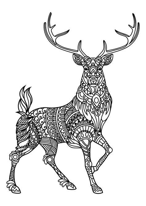 Free Book Deer Deers Adult Coloring Pages