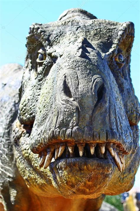 Dinosaur Tyrannosaurus Rex Head Stock Editorial Photo © Elina 9730454