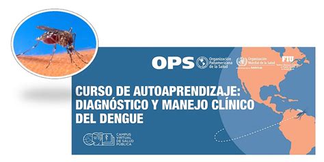 Diagnóstico Y Manejo Clínico Del Dengue 2020 Opsoms Organización