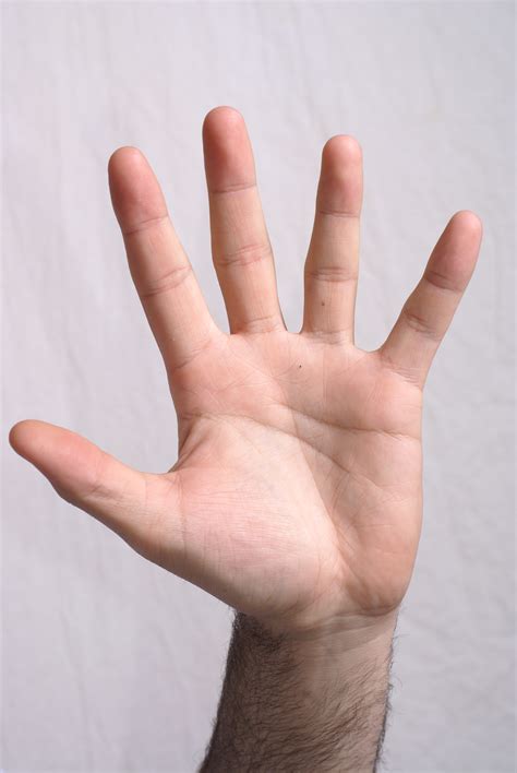 Show of hands please,how many hunt with.. - 24hourcampfire