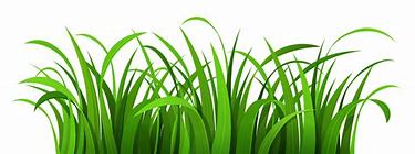 Image result for cutting grass and weeds clip art