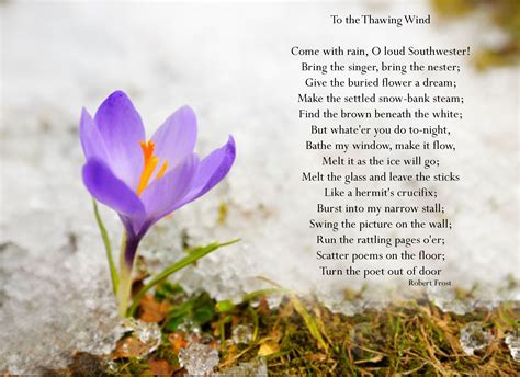 SPRING POEMS: 60 Best Spring Poems and Spring Poems for Kids | Spring poem, Spring poems for ...
