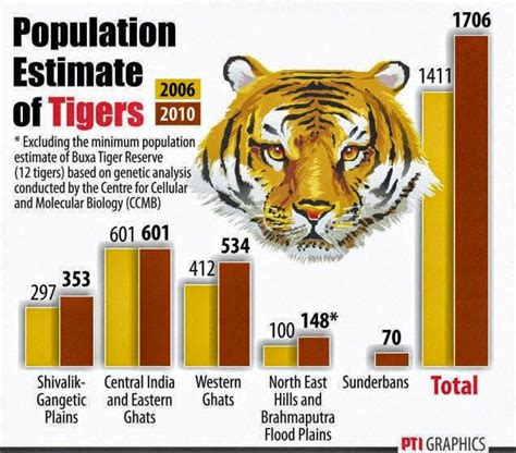 Rise Of Tiger Population Strong Positive Indicator For India And The