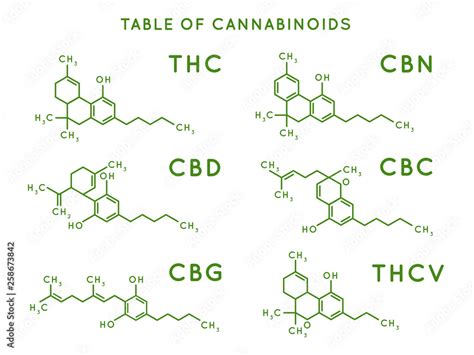 cannabinoid structure cannabidiol molecular structures thc and cbd