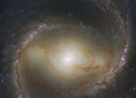 Hubble Image Of Spectacular Spiral M91 Spaceref