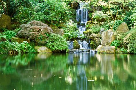 Photo Usa Portland Japanese Nature Waterfalls Parks Gardens