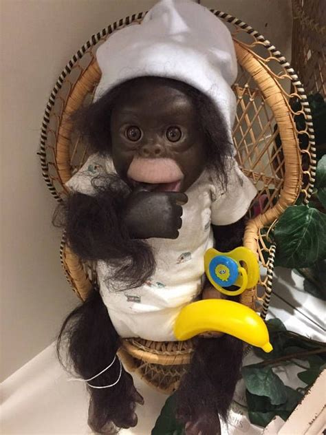 Baby Boy Bingo The Chimp Lifelike Baby Monkey Baby Monkey Baby Boy Monkey Infant Adoption