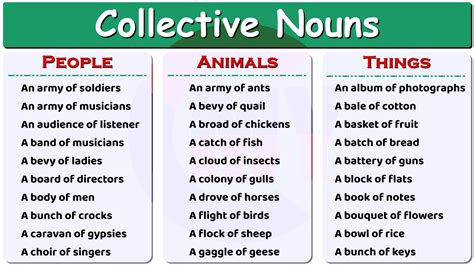 Collective Nouns Definition And Examples In English Grammar