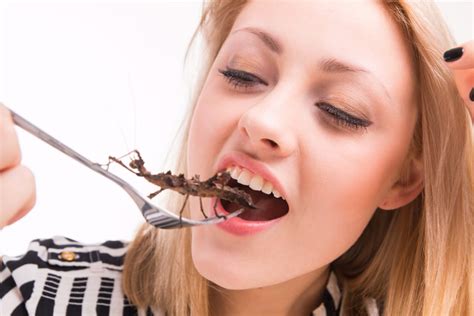 Manger Des Insectes La Nouvelle Tendance Alimentaire Insolite
