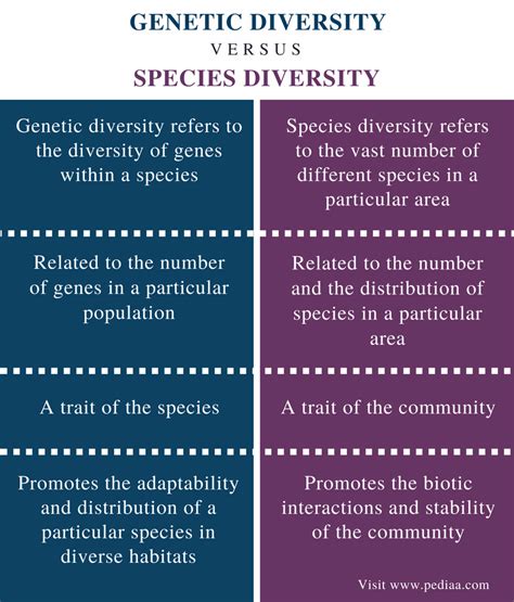 Difference Between Genetic Diversity And Species Diversity Definition Characteristics Role