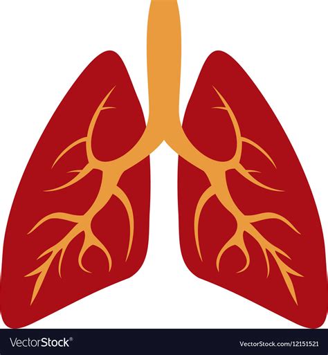 Human Lungs Icon Royalty Free Vector Image Vectorstock
