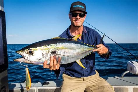 Scotts Species Yellowfin Tuna A Wonderful Prized Pelagic Recfishwest