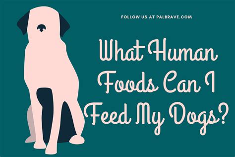 What Can I Feed My Dog Is Human Food Ok Palbrave