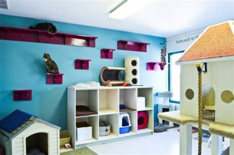 18 Amazing Cat Room Designs For Your Inspiration Neatorama