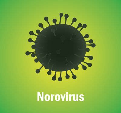 For more fascinating and educational articles about microscopes, visit our education center. Noroviren (Norovirus-Infektion) - Ursachen, Symptome ...