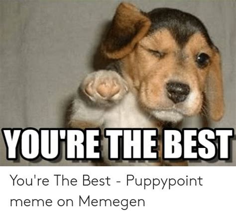 Meme Youre The Best Cute Puppy Meme Youre Awesome Puppy Meme