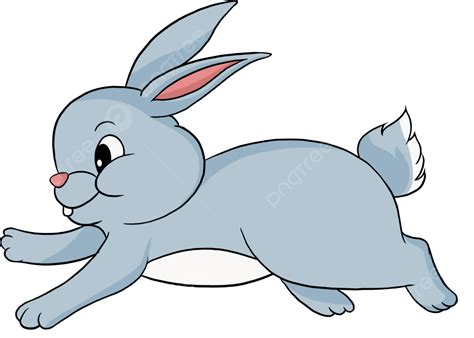 Conejito Lindo Conejito Png Dibujos Conejo Dibujos Animados Conejo