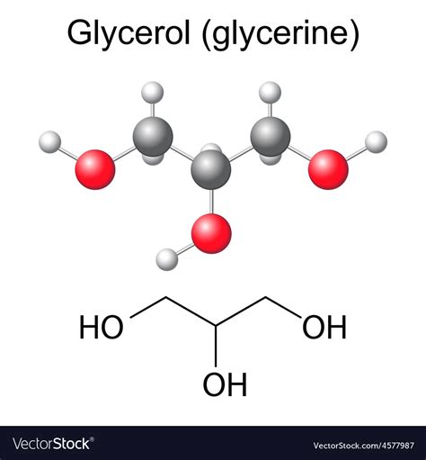 Chemical Formula And Model Glycerol Molecule Vector Image