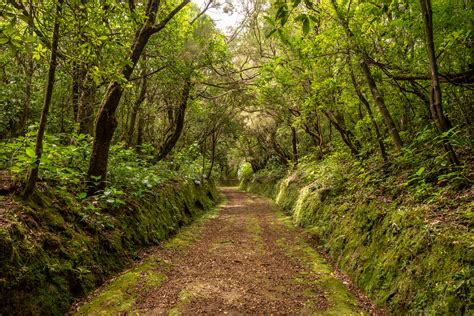 Trilhos Na Natureza Em Portugal Que Não Pode Perder Melhor Que Único