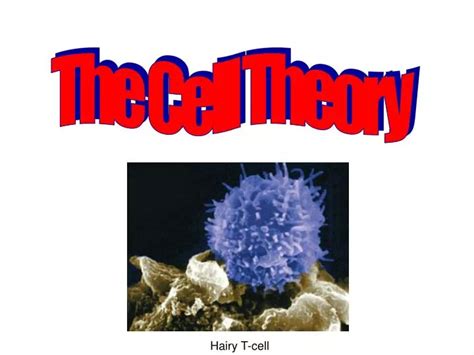Ppt The Cell Theory Powerpoint Presentation Free Download Id1200015