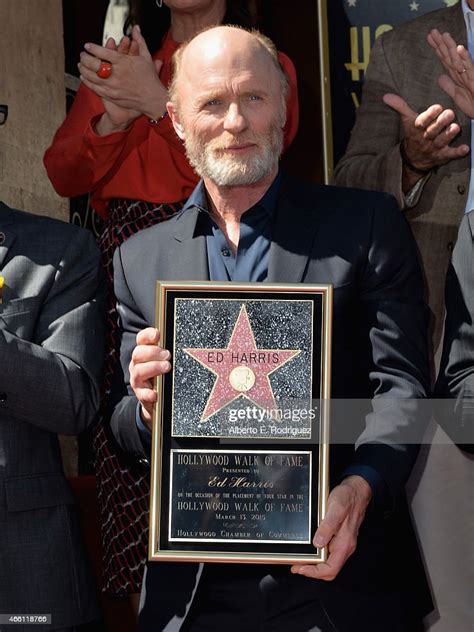 actor ed harris attends a ceremony honoring him with the 2 546th star news photo getty images