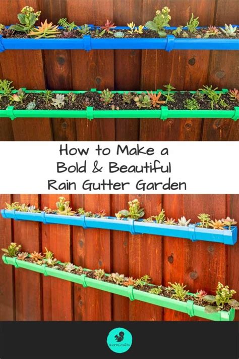 How To Make A Bold And Beautiful Rain Gutter Garden Ikorncrafts