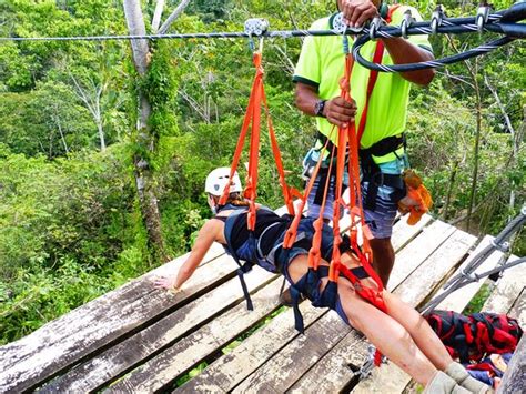 A canopy tour where you travel at treetop height. Best Zip Line Canopy Tour Puerto Viejo | Costa Rica