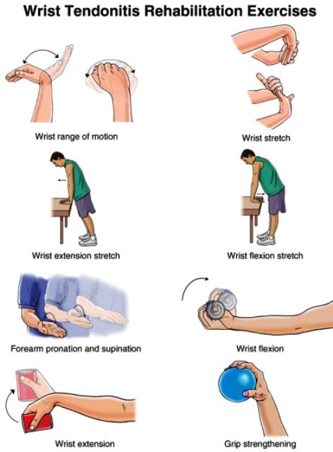 Exclusive Physiotherapy Guide For Physiotherapists Exercise For Wrist