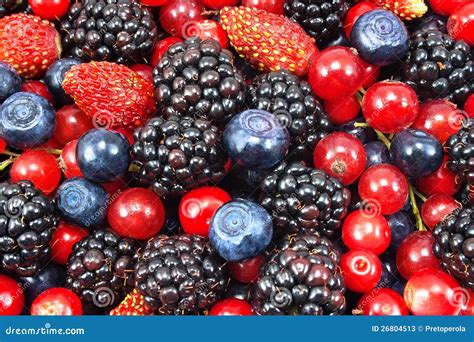 Different Fresh Berries Stock Image Image Of Group Blackberries
