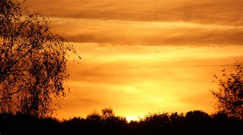 Autumn Sunset Sky And Flock Of Birds Photograph By Richard