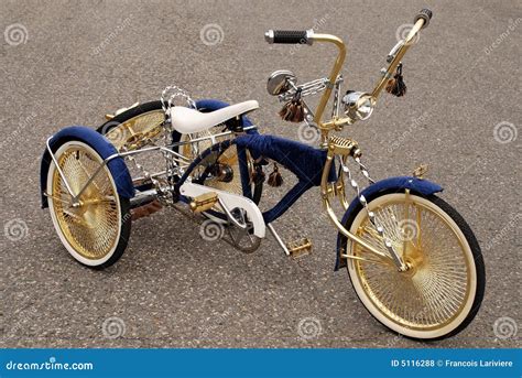 Low Bicycle Stock Photo Image Of Light Gold Seat Golden 5116288